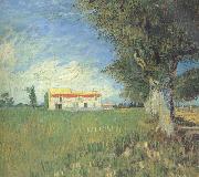 Vincent Van Gogh, Farmhous in a Wheat Field (nn04)